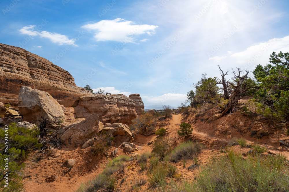 Fototapeta premium Red rock landscape in Utah