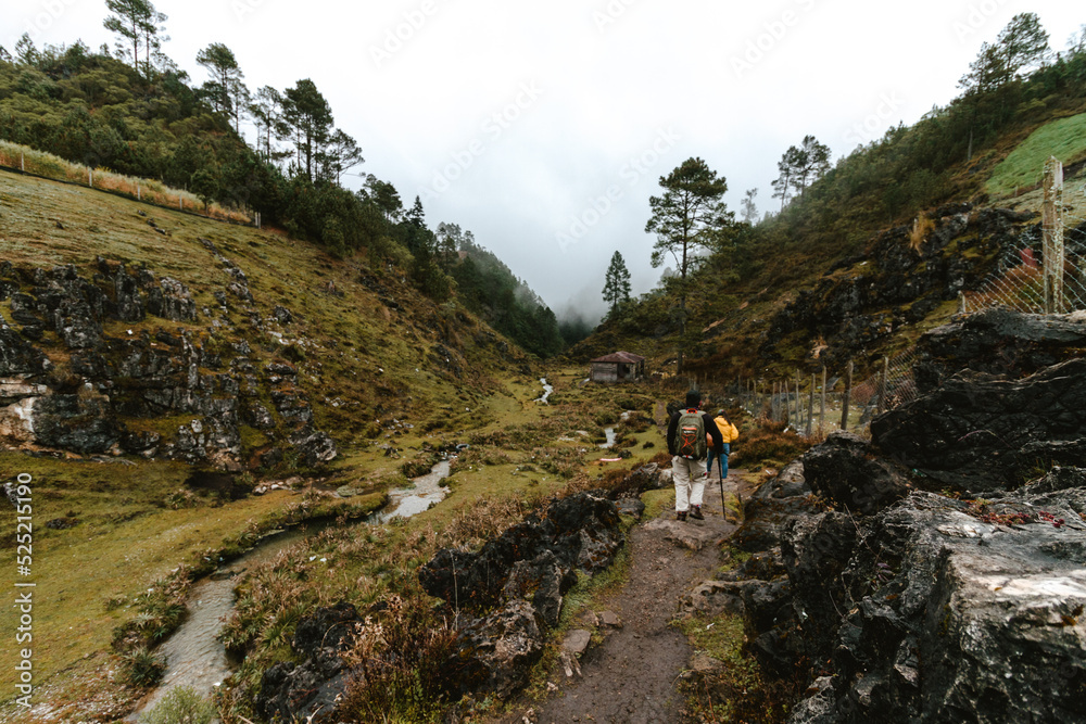 hike in the middle of mountains of humid forest in Guatemala hike in the middle of mountains of humid forest in Guatemala