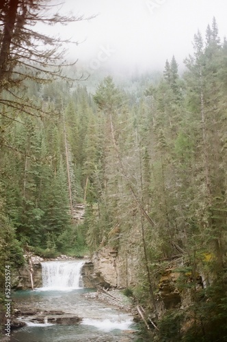 waterfall in the forest