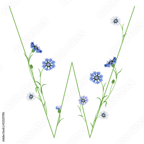 Wall Mural Beautiful letter W with blooming branches of cornflower or knapweed plant (Centaurea)