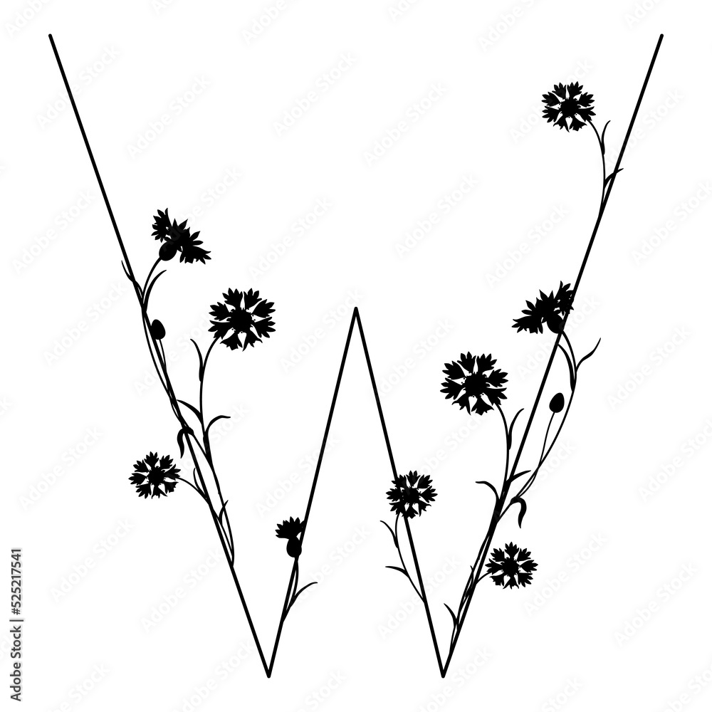 Beautiful letter W with blooming branches of cornflower or knapweed