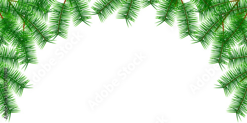 モミの木　クリスマス　背景