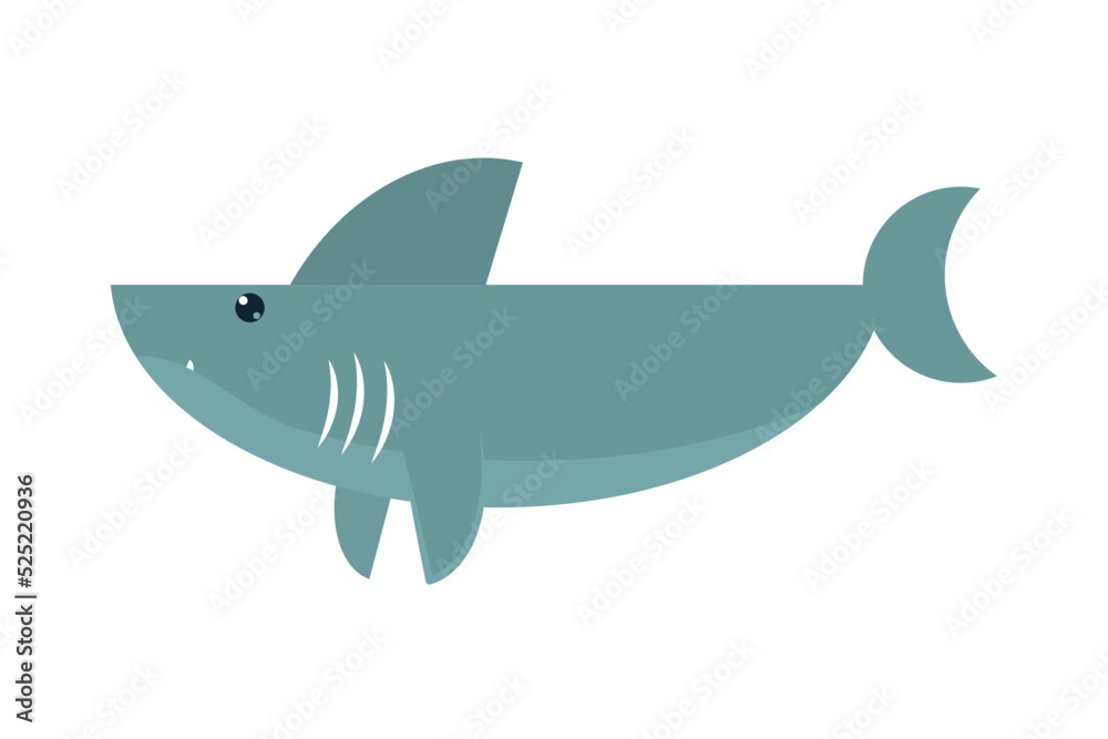 Obraz premium cute shark icon