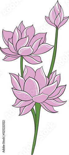 Fototapeta Naklejka Na Ścianę i Meble -  classic style lotus flower vector design, color editable
