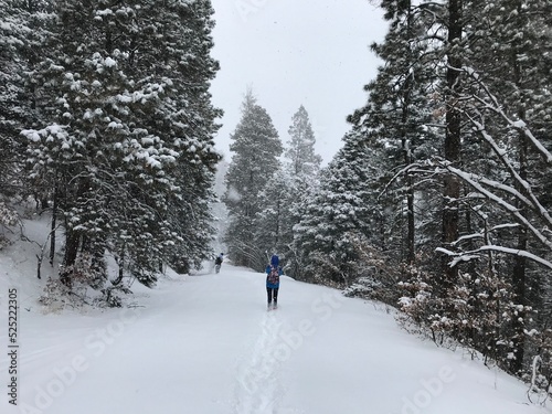 mostly nature
