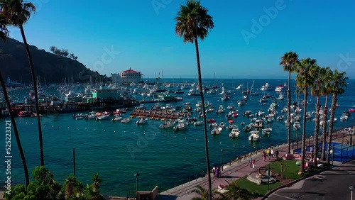 Rising drone shot of the harbor of Avalon on Catalina Island with palm trees in the foreground and lots of sail boats in the background. photo