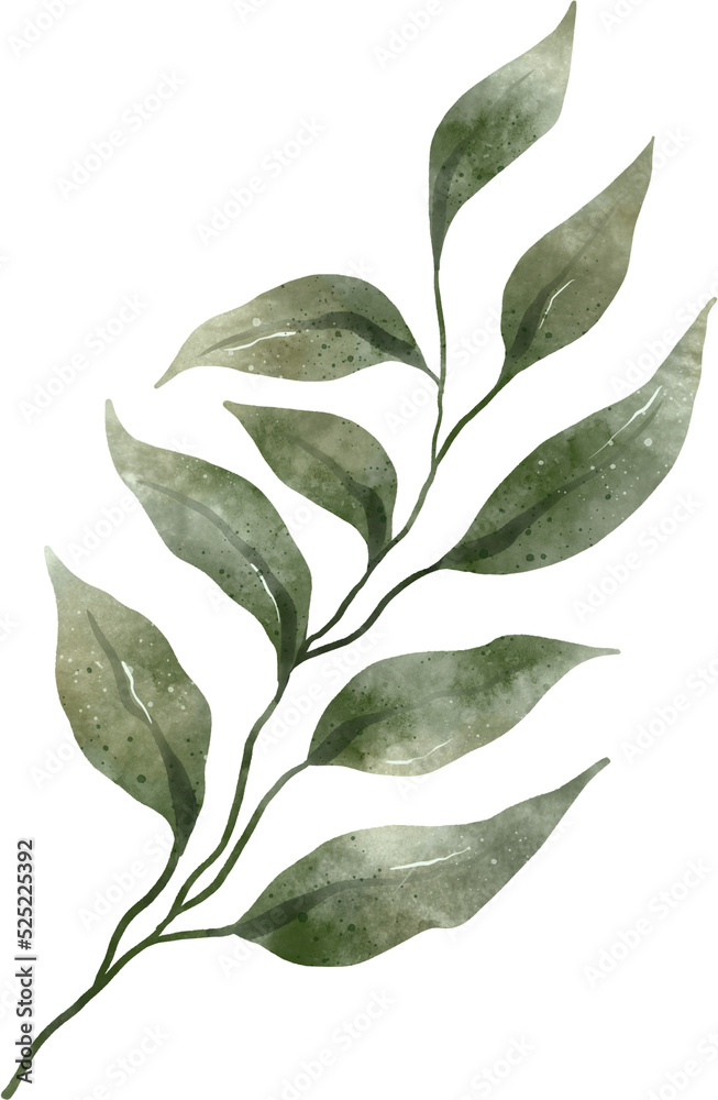 Leaf Watercolor Illustration Leaf Watercolor Illustration