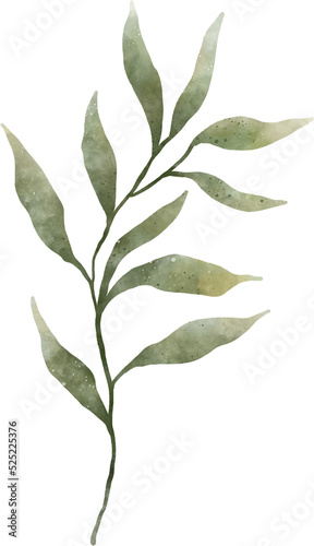 Leaf Watercolor Illustration © ABC Vector