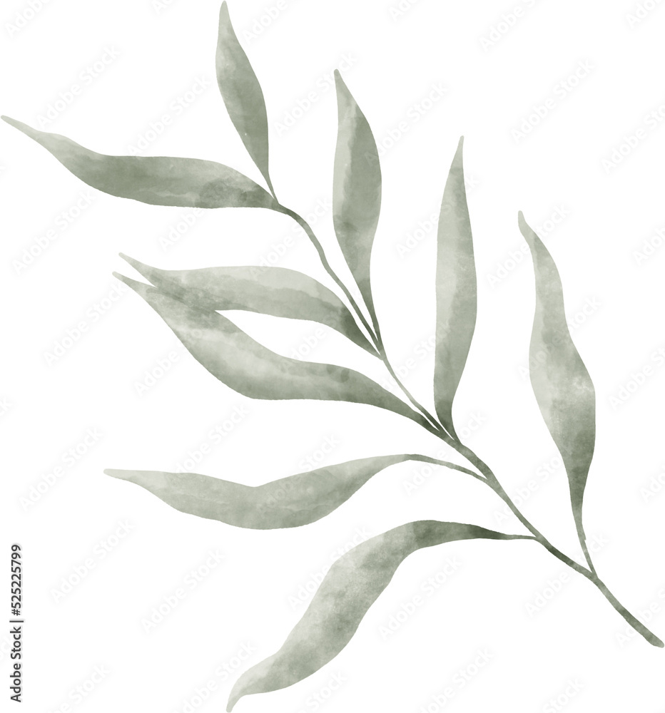 Obraz premium Leaf Watercolor Illustration