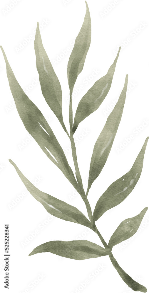 Leaf Watercolor Illustration