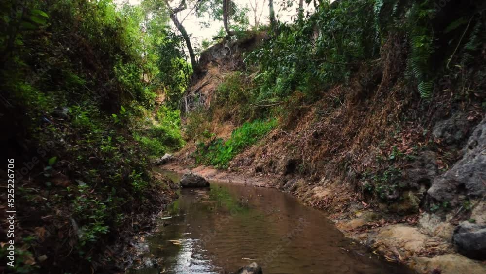 Following the flow of water among tropical vegetation. Low aerial Following the flow of water among tropical vegetation. Low aerial