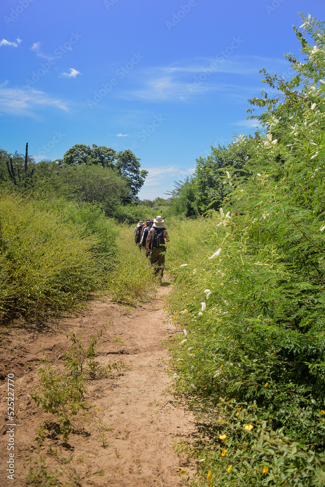 group walking on trail in summer,  Araruna, Pb, Paraíba, Brazil, brazilian trails, travels in brazil, northeastern brazil, northeastern day, SSTK roadtrip