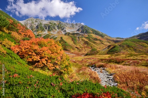 Autumn scenery in Tateyama alpine, Toyama