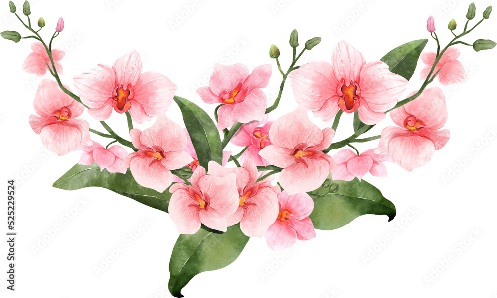 Pink Orchid Flower Watercolor Arrangement