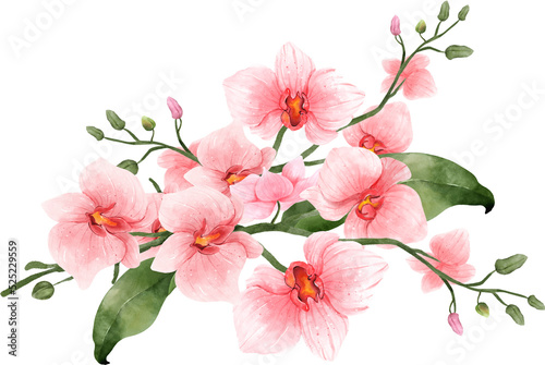 Pink Orchid Flower Watercolor Arrangement © ABC Vector