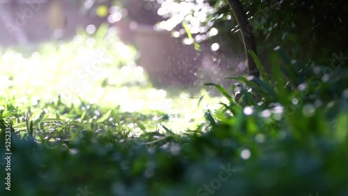 spinning nylon string parallel to the grass-level slow-motion clip, Trimming the excess grass with a brushcutter photo