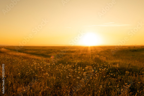 new day concept  Meadow landscape sunrise background