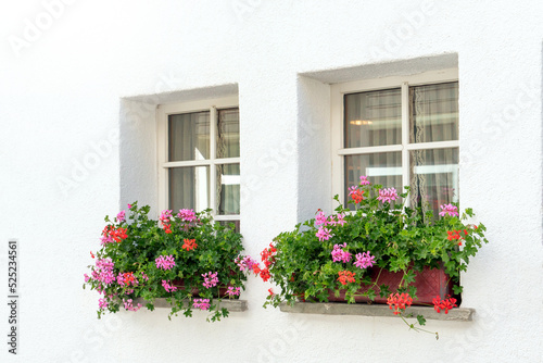 Fototapeta Naklejka Na Ścianę i Meble -  Flower window with white wall in switzerland