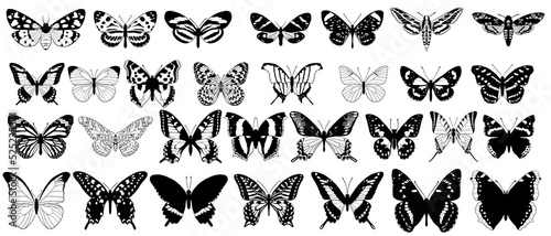 vector drawing collection of butterflies, monochrome elements isolated at white background, hand drawn illustration