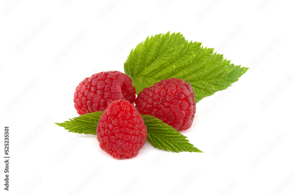 Raspberry berries isolated on white background Raspberry berries isolated on white background