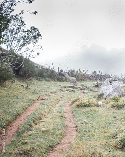 chemin nuageux asturies