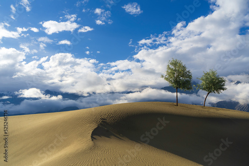 Fototapeta Naklejka Na Ścianę i Meble -  sand dunes and sky