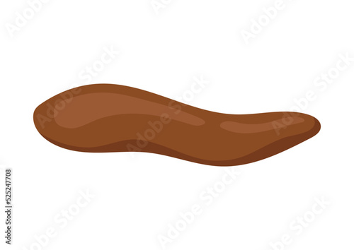 Poop excrement for bristol scale chart smooth and soft. 4 type of poo cartoon vector icon isolated on white background. Flat design vector clip art poo illustration.