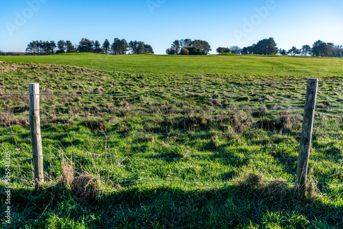Green meadow with trees in Normandy, France.
