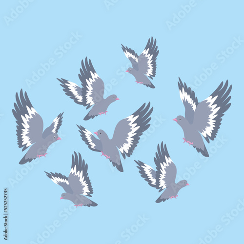 a flock of doves in the sky