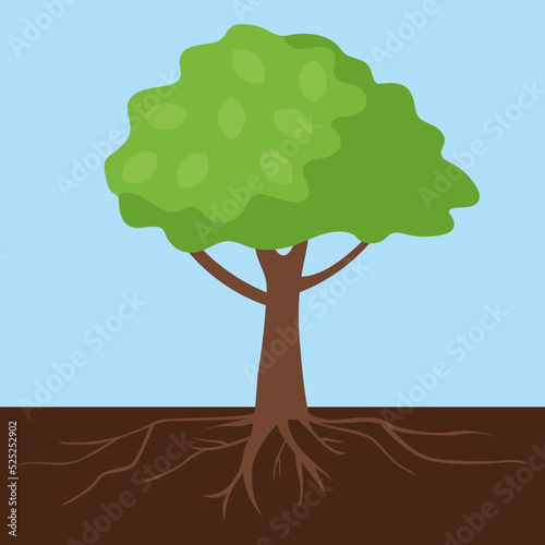 tree with roots on a blue background