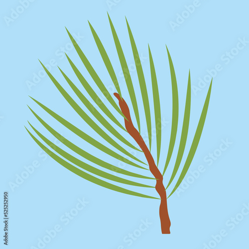 Pine branch, illustration, vector, cartoon