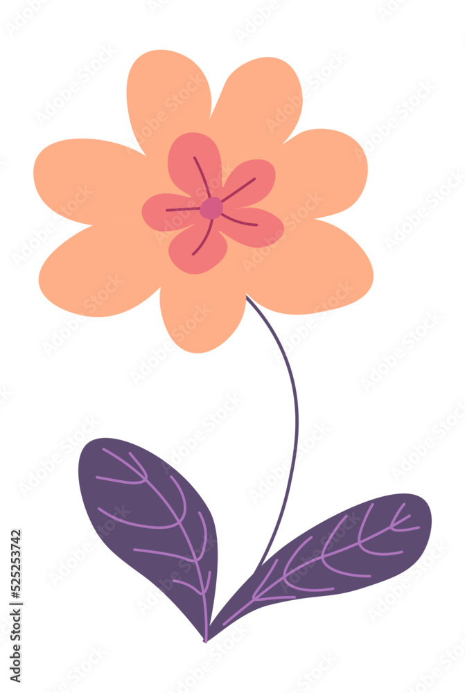 Blooming flower with stem and leave, bouquets