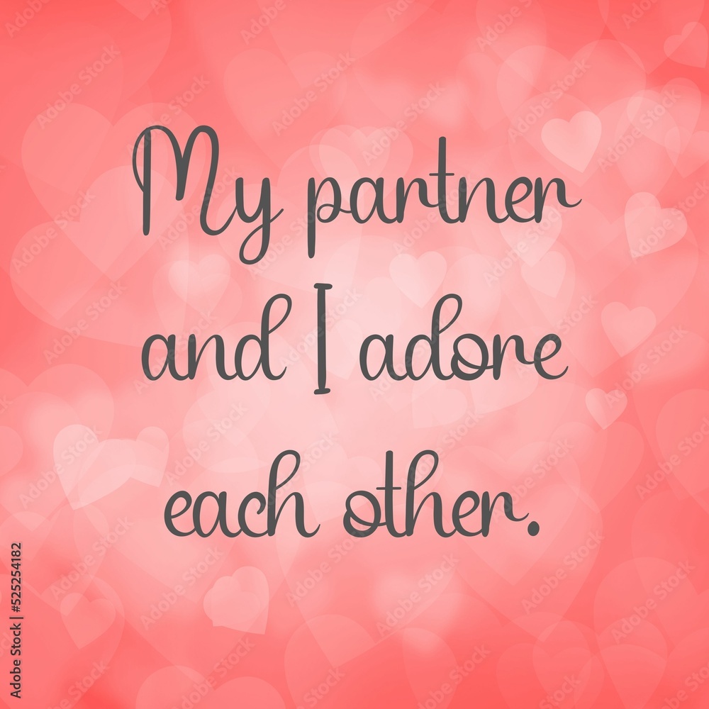 Inspirational quote and love affirmation quote ; My partner and I adore each other.
