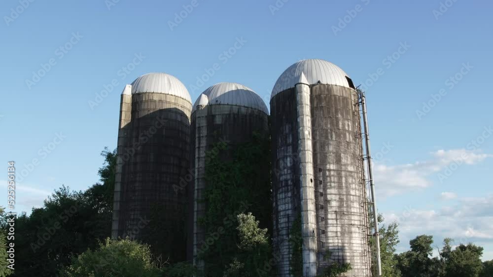Three Abandoned Farm Silos With Overgrown Plants And Summer Blue Sky Background In Medford, New Jersey, USA. - Tilt-Down Shot Three Abandoned Farm Silos With Overgrown Plants And Summer Blue Sky Background In Medford, New Jersey, USA. - Tilt-Down Shot