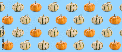 Many pumpkins on light blue...