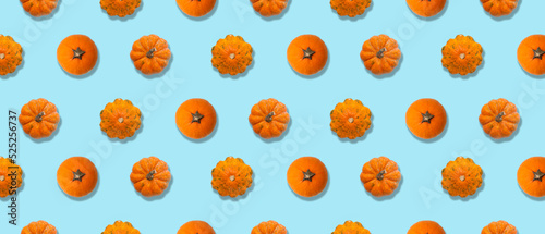 Many pumpkins on light blue...