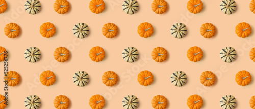 Many pumpkins on beige background. Pattern for design