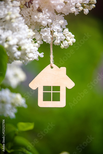 The symbol of the house among the branches of the white lilac
