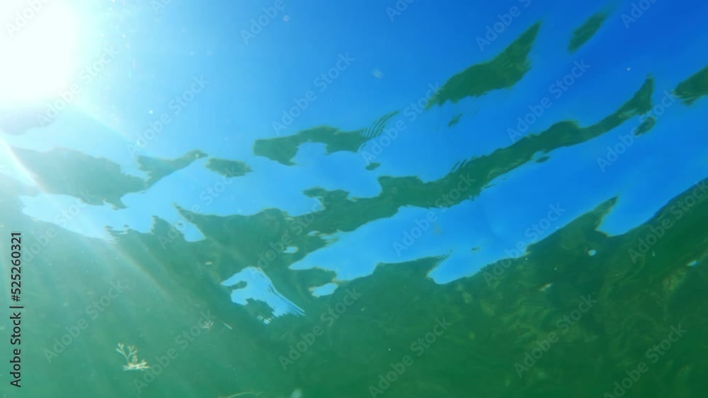 Looking up onto the surface of the water. Bottom view of the surface of the sea. Looking up onto the surface of the water. Bottom view of the surface of the sea.