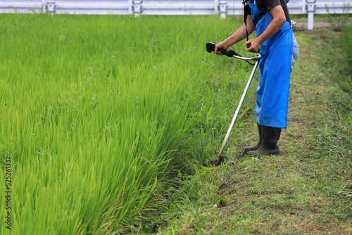 Tableau sur toile 田んぼの土手で草刈機を持って除草作業するシニア男性