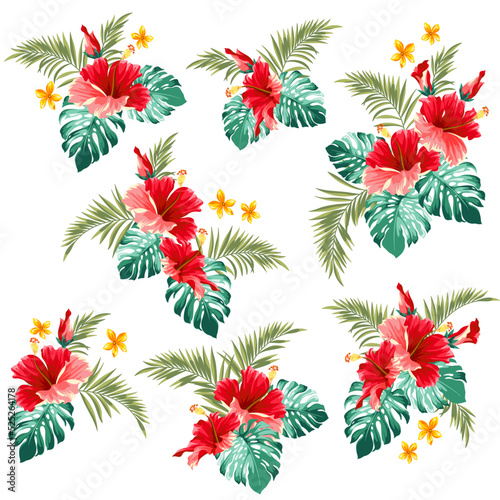 Tropical flower vector illustration material collection 