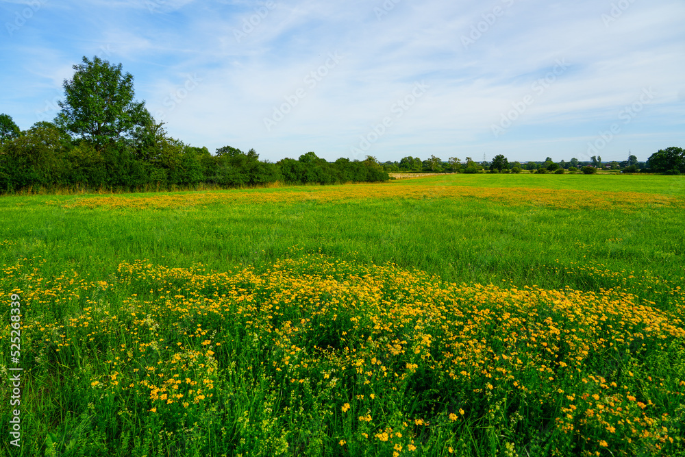 Ahsewiesen nature reserve in the Lippetal. Landscape with fields and meadows.
