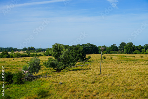 Ahsewiesen nature reserve in the Lippetal. Landscape with fields and meadows. 