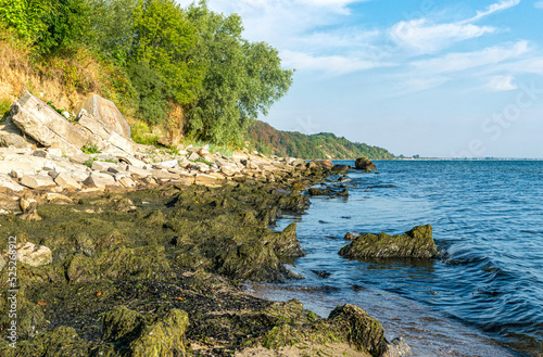 Baltic sea coast pollution