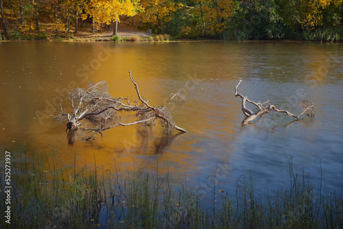 Northern European landscape in Finnish Kellokoski: golden autumn, rapids, Kerava river, sunny day, church near. photo