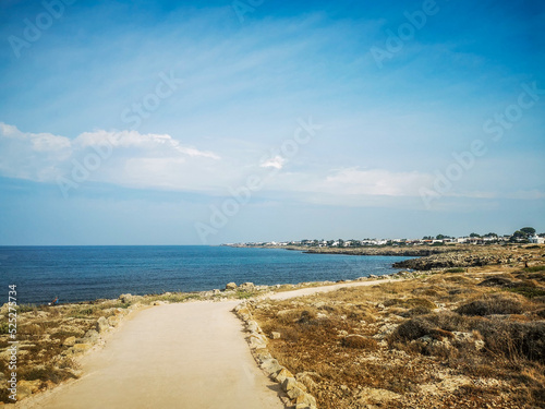 Rocky shore of Capilungo  Salento  Puglia  Southern Italy  with walking path and vegetation  in a sunny summer day  with bright colors  clear water and blue sky. 
