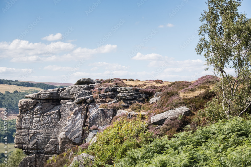 Rocks and heather in the Peak District, UK, in summer