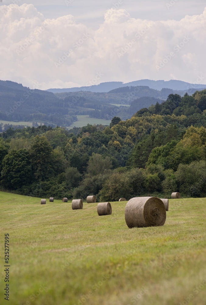 Autumn in the countryside, a bale of hay in the meadow, food for horses and cattle for the winter.
