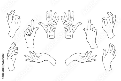 Set linear silhouette of an elegant female or witch hand.