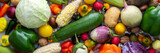 Background with fresh autumn vegetables, organic healthy farm products banner, top view